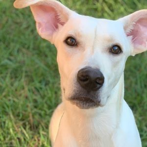 Meet your Posher, Elijah